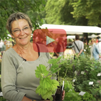 Passie voor kweken 30 - Fleur van Zonneveld